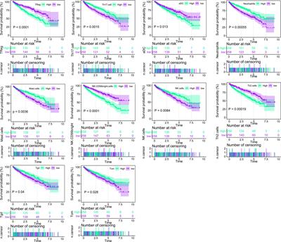 Systematic Chromatin Accessibility Analysis Based on Different Immunological Subtypes of Clear Cell Renal Cell Carcinoma